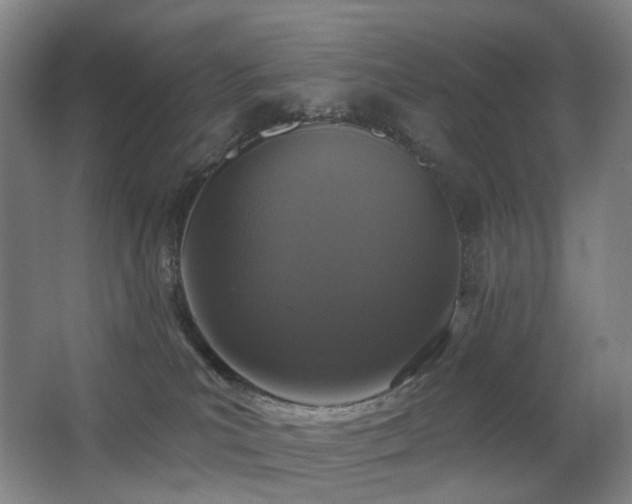 X0000063480039200601201255