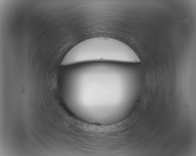 X0000063480043200601201255