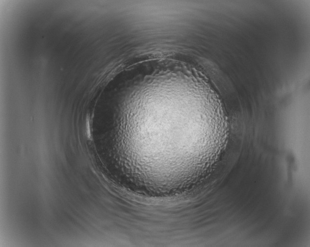 X0000063480046200601201255