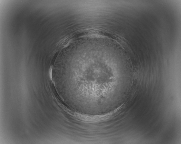 X0000063480047200601201255