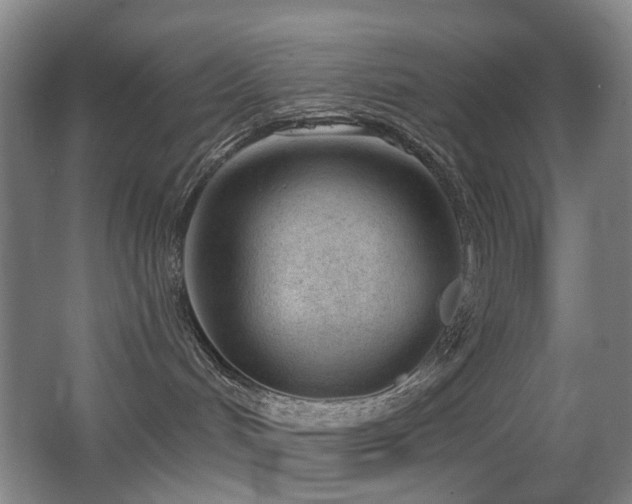 X0000063480048200601201255