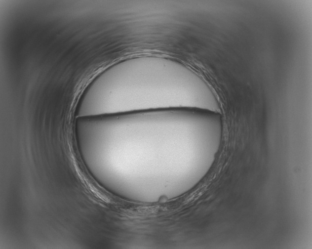 X0000063480049200601201254