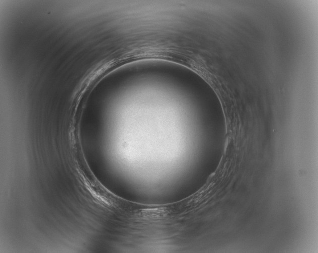 X0000063480050200601201254