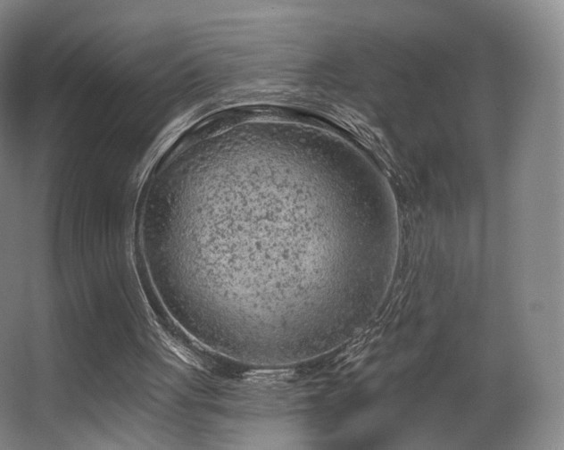 X0000063480051200601201254