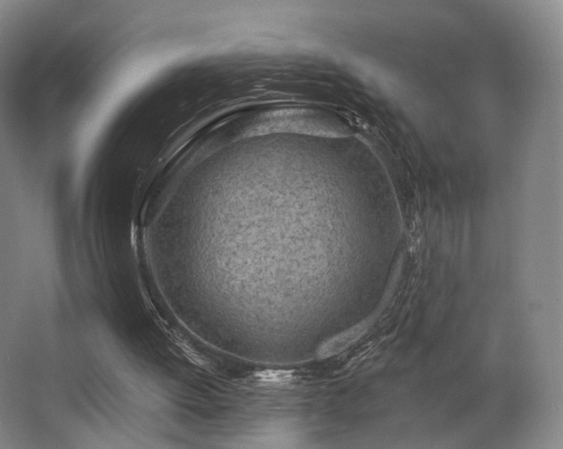 X0000063480052200601201254