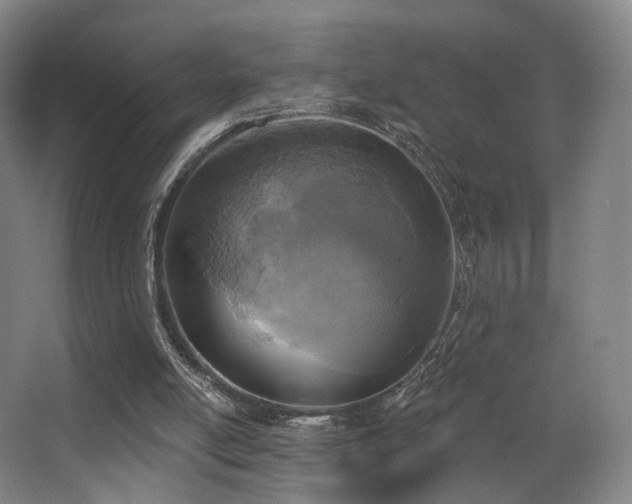 X0000063480054200601201254