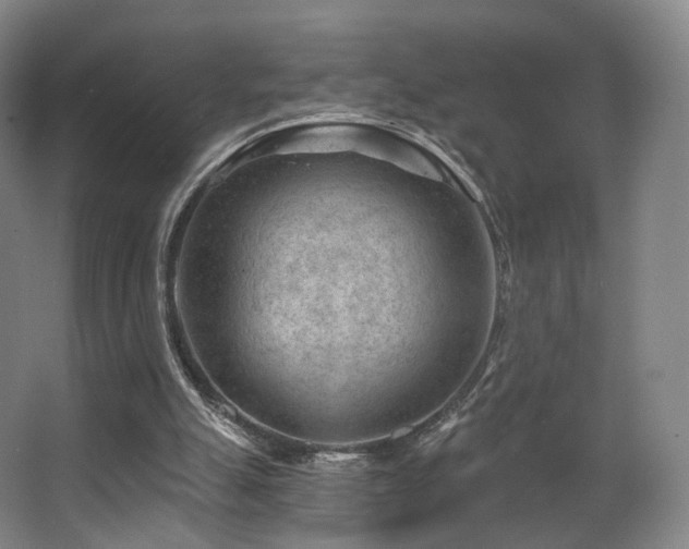 X0000063480055200601201254