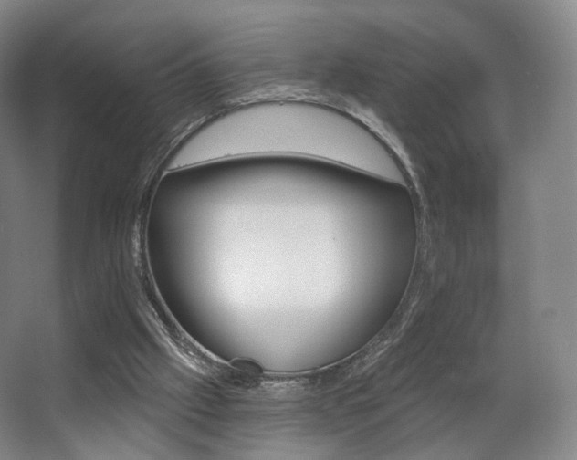 X0000063480057200601201254