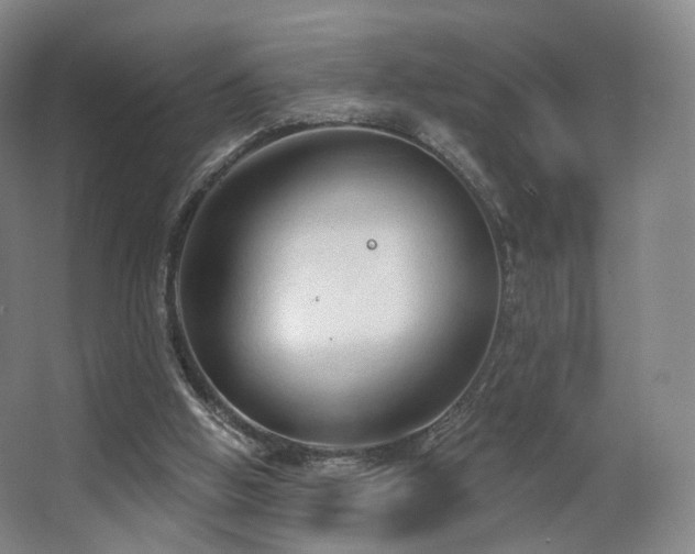 X0000063480058200601201254