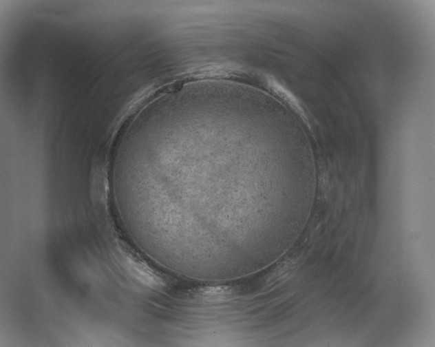 X0000063480059200601201254