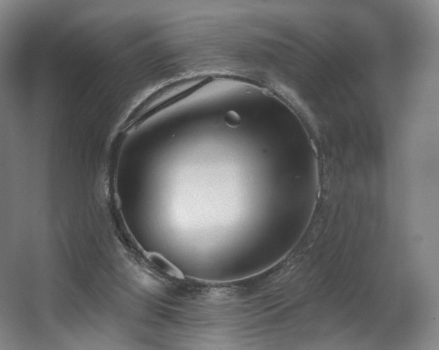 X0000063480060200601201254