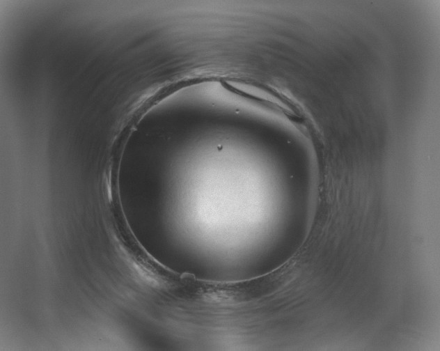 X0000063480062200601201254