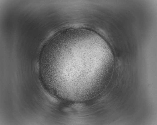 X0000063480063200601201254