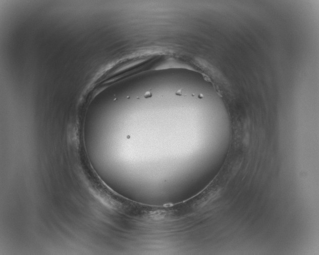 X0000063480064200601201254