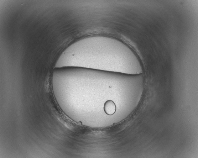 X0000063480065200601201254