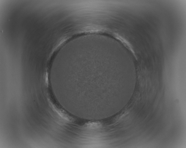 X0000063480067200601201254