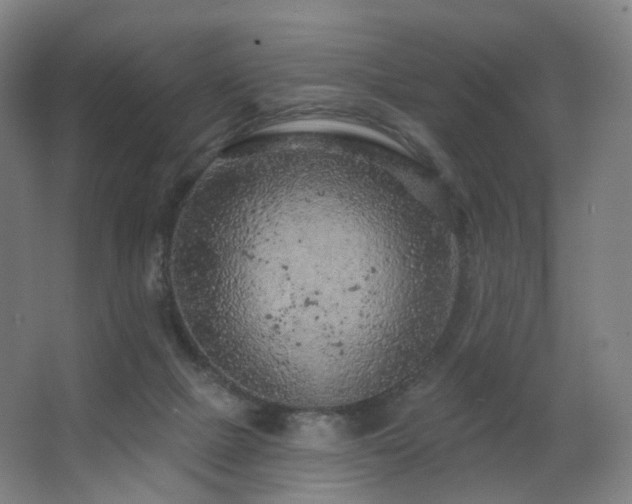 X0000063480073200601201254