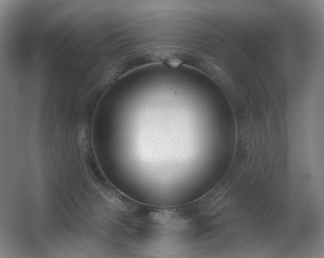 X0000063480079200601201254