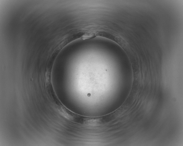 X0000063480081200601201254