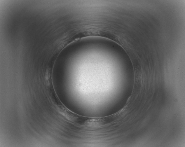 X0000063480082200601201254