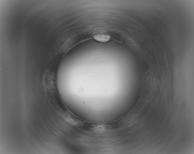 X0000063480083200601201254