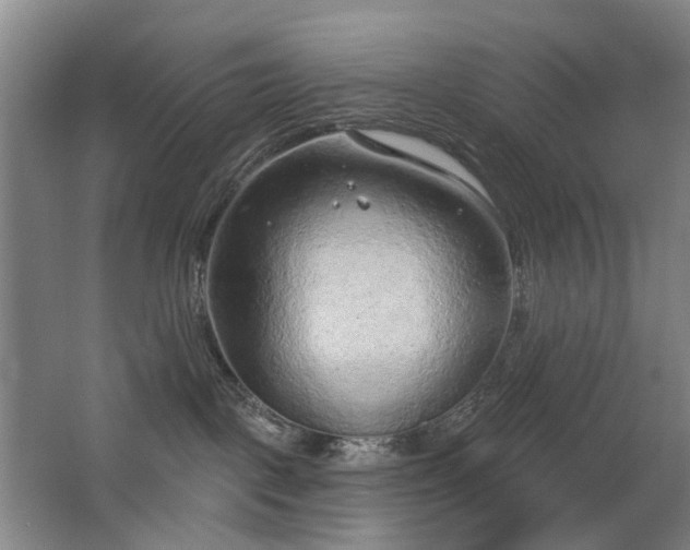 X0000063480093200601201255