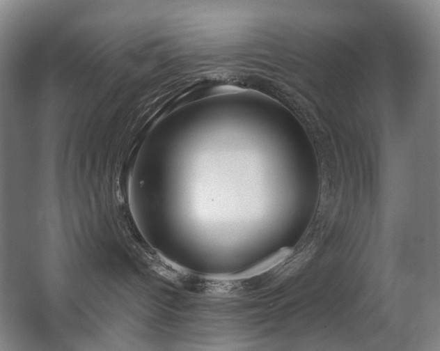 X0000063480096200601201255