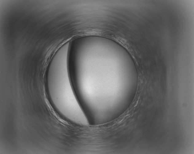 X0000063480097200601201254