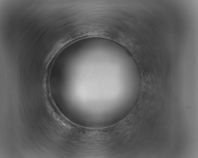 X0000063480098200601201254