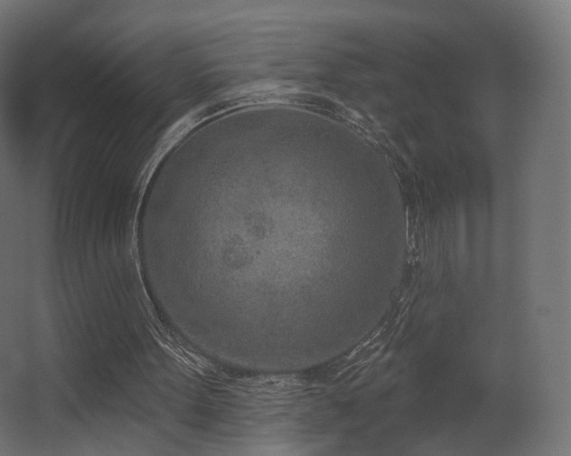 X0000063480099200601201254