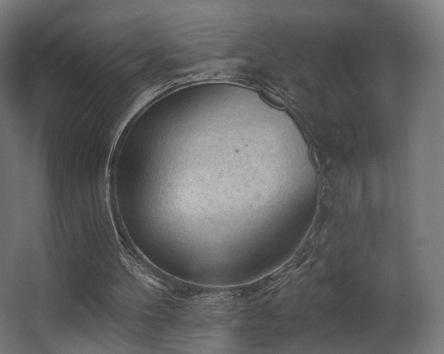 X0000063480100200601201254