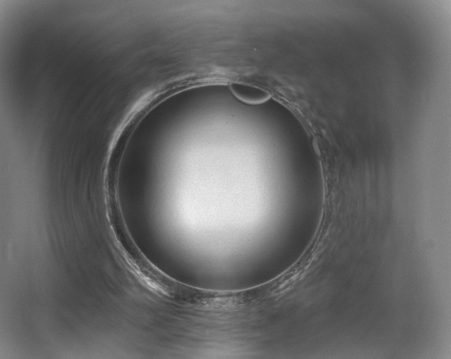 X0000063480102200601201254