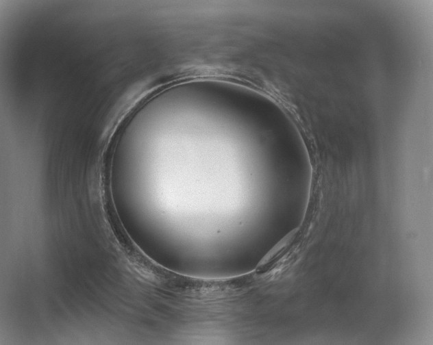 X0000063480103200601201254