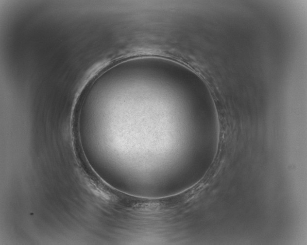 X0000063480104200601201254