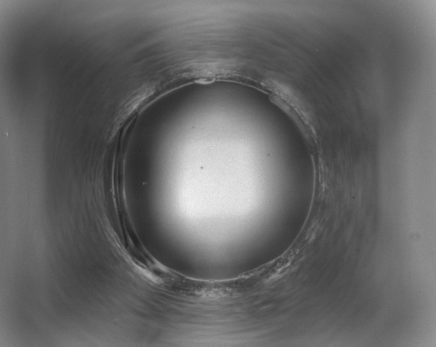 X0000063480105200601201254