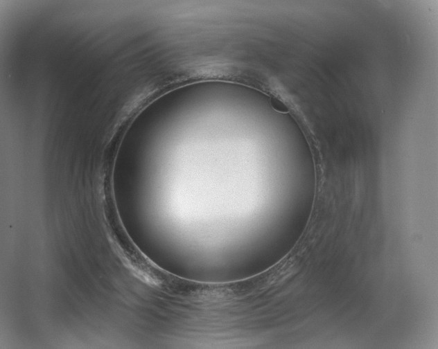 X0000063480106200601201254