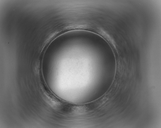 X0000063480107200601201254