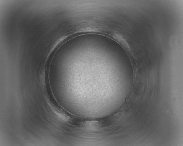 X0000063480108200601201254