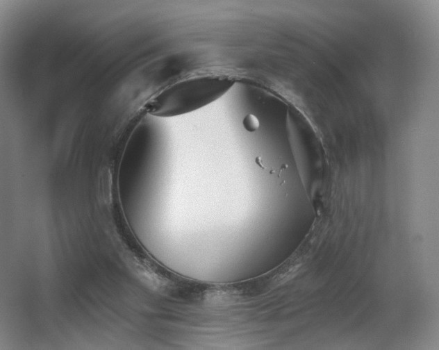 X0000063480109200601201254