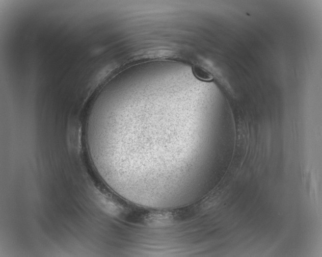 X0000063480110200601201254