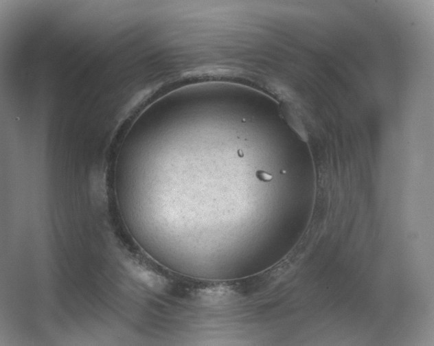 X0000063480112200601201253