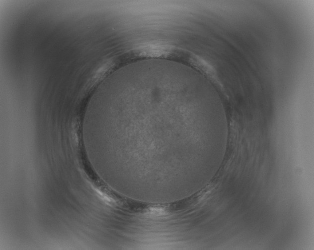 X0000063480114200601201253