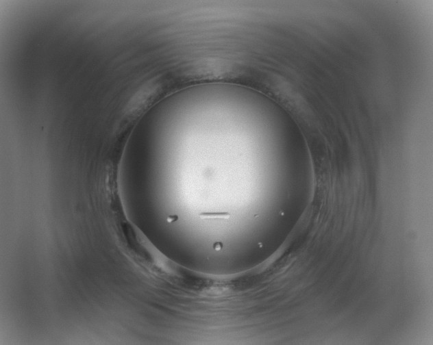 X0000063480119200601201253