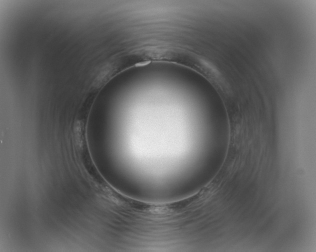 X0000063480121200601201253