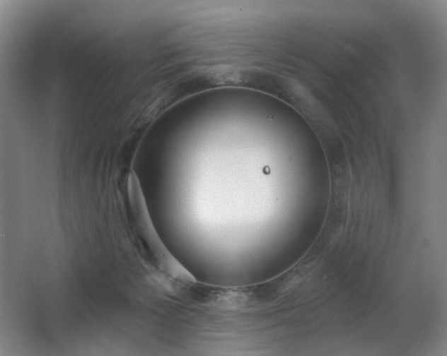 X0000063480125200601201253