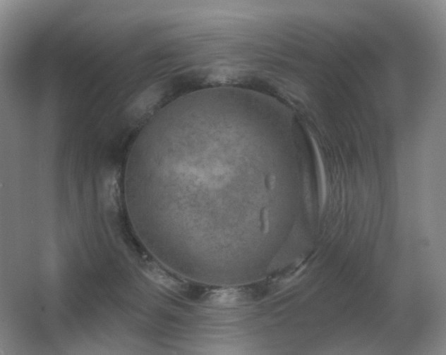 X0000063480127200601201253