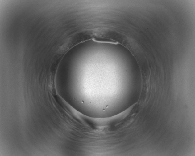 X0000063480129200601201253