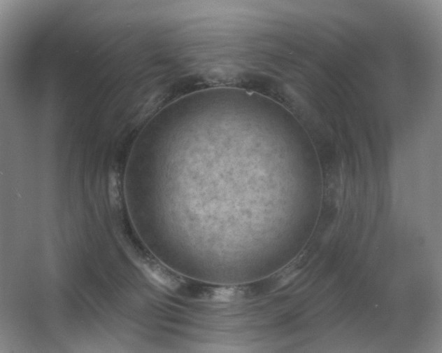 X0000063480130200601201253