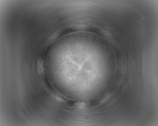 X0000063480131200601201253