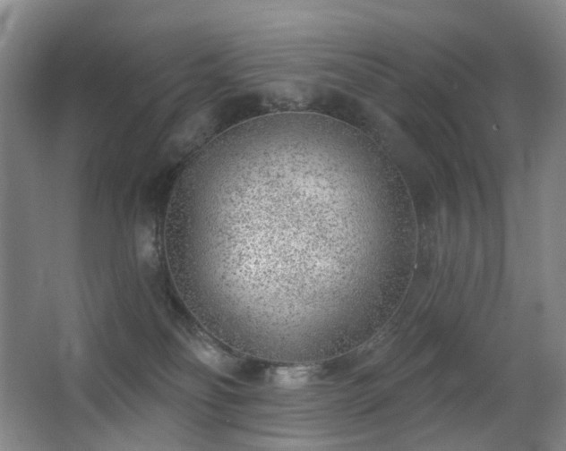 X0000063480134200601201253